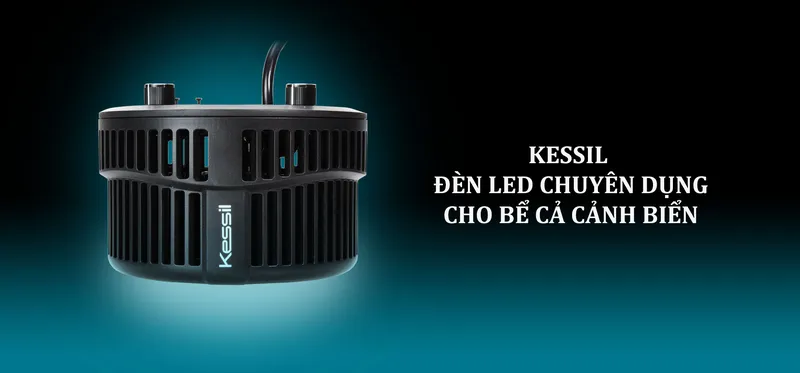 Sản phẩm A1 — Công Ty TNHH Fishlovershop — MST 0108350232