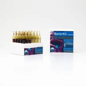 Sản phẩm BacterKit Aragonite boite de 30 ampoules prodibio 300x300 — Công Ty TNHH Fishlovershop — MST 0108350232