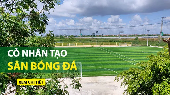 Sản phẩm Dai Thinh Phat Phu Co Nhan Tao San Bong — Công Ty Cổ Phần Đầu Tư Xây Dựng Và Thương Mại Đại Thịnh Phát — MST 0108368462