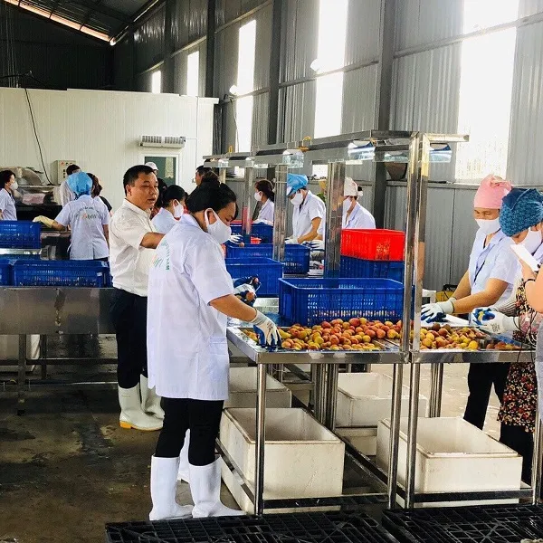 Sản phẩm xrtd1731031350.jpg.pagespeed.ic.UT_jwi5i1P — Công Ty Cổ Phần AMEII Việt Nam — MST 0108400885