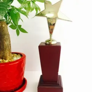 Sản phẩm cup dong ms20 300x300 — Quà Tặng ý Tưởng Vàng - Công Ty TNHH Sản Xuất Quà Tặng Đối Ngoại ý Tưởng Vàng — MST 0108408940