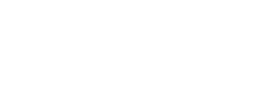 Logo Công Ty TNHH Công Nghệ Và TM Pal Việt Nam