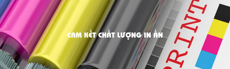 Sản phẩm cam ket — In Aurora Space - Công Ty TNHH Aurora Space — MST 0108419011