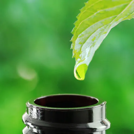 Sản phẩm essential oils — Công Ty TNHH Cảm Giác Thiên Nhiên — MST 0108421081