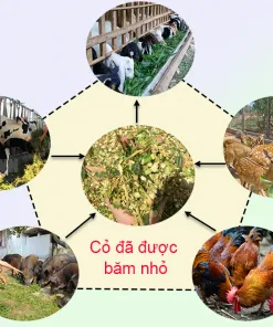 Sản phẩm may bam co binh quan 247x296 — Công Ty TNHH Dịch Vụ Sản Xuất Thương Mại Xuất Nhập Khẩu Bình Minh — MST 0108457948