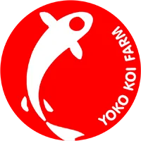 Logo Công Ty Cổ Phần Đầu Tư Yoko Nhật Bản