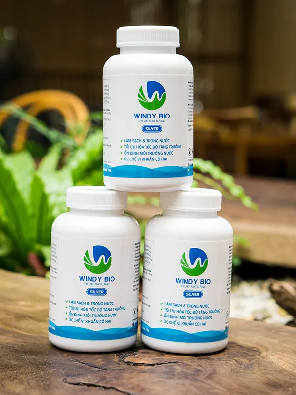 Sản phẩm vi sinh ho ca koi windy bio t — Công Ty Cổ Phần Đầu Tư Yoko Nhật Bản — MST 0108460972