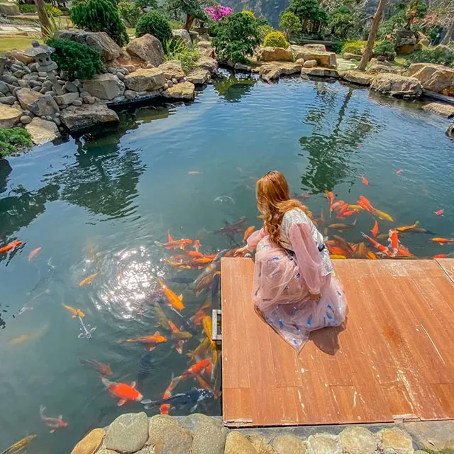 Sản phẩm ho koi dep 1 — Công Ty Cổ Phần Đầu Tư Yoko Nhật Bản — MST 0108460972