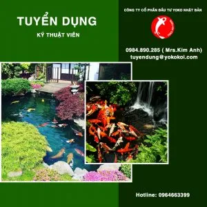 Sản phẩm tuyen ky thuat vien 300x300 — Công Ty Cổ Phần Đầu Tư Yoko Nhật Bản — MST 0108460972