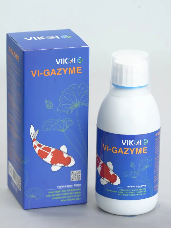 Sản phẩm vi gazyme 1 — Công Ty Cổ Phần Đầu Tư Yoko Nhật Bản — MST 0108460972