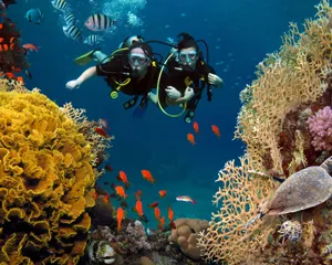Sản phẩm luxury tours k1 — Công Ty Cổ Phần Asia Links Travel — MST 0108469291