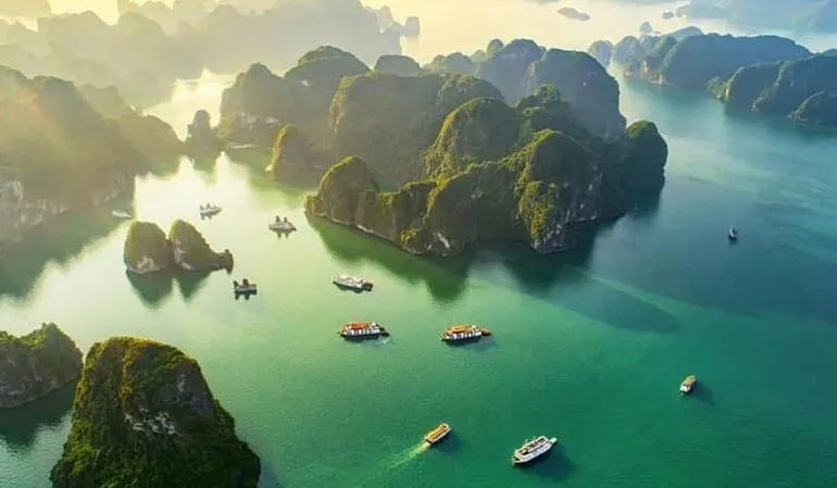 Sản phẩm Halong — Công Ty Cổ Phần Asia Links Travel — MST 0108469291