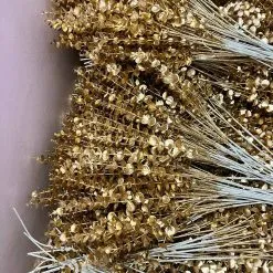 Sản phẩm Canh la khuynh diep canh la tao 1 247x247 — Công Ty TNHH Giải Pháp Quà Tặng Vgift — MST 0108481588