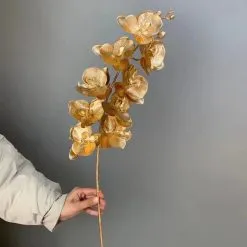 Sản phẩm hoa lan dong 1 247x247 — Công Ty TNHH Giải Pháp Quà Tặng Vgift — MST 0108481588
