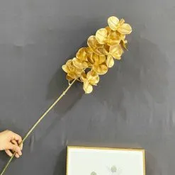 Sản phẩm hoa lan dong 5 247x247 — Công Ty TNHH Giải Pháp Quà Tặng Vgift — MST 0108481588