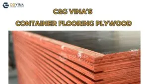 Sản phẩm 12 300x169 — Công Ty TNHH Đầu Tư Và Xuất Nhập Khẩu C&G Việt Nam (C&G VINA) — MST 0108494347