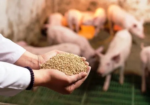 Sản phẩm DM PHU GIA CHANNUOI — Hóa Chất Công Nghiệp Hà Nội - Công Ty TNHH Xuất Nhập Khẩu Và Công Nghệ Tiến Phát — MST 0108507317