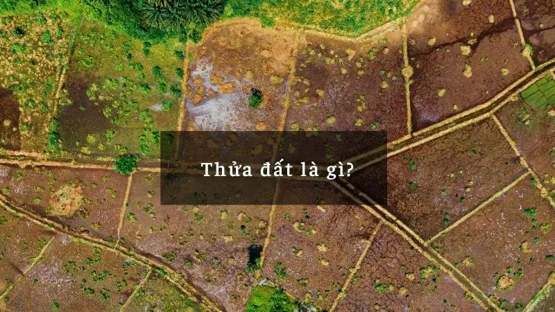 Sản phẩm thua dat la gi — Công Ty Luật TNHH Thiên Mã — MST 0108518559