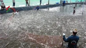 Sản phẩm tu van dat nuoi trong thuy san co cap so do duoc khong 300x169 — Công Ty Luật TNHH Thiên Mã — MST 0108518559