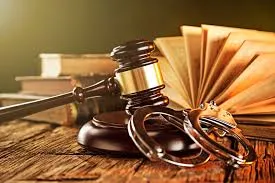 Sản phẩm Luat su hinh su — Công Ty Luật TNHH Thiên Mã — MST 0108518559