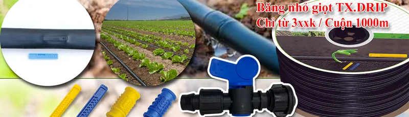 Sản phẩm 0036133_BangTuoi — Công Ty TNHH Đầu Tư Thương Mại Và Công Nghệ Tháp Xanh — MST 0108528074