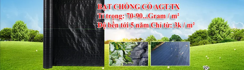Sản phẩm 0036134_BatChongCo — Công Ty TNHH Đầu Tư Thương Mại Và Công Nghệ Tháp Xanh — MST 0108528074