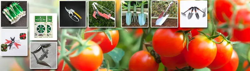 Sản phẩm 0037569_Nongcu.1920x550 — Công Ty TNHH Đầu Tư Thương Mại Và Công Nghệ Tháp Xanh — MST 0108528074