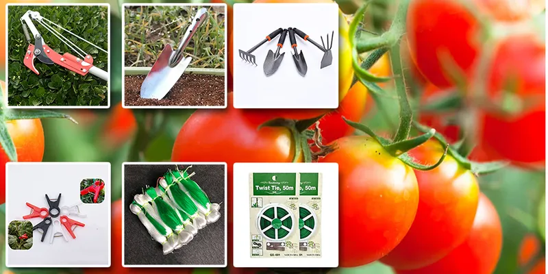 Sản phẩm 0037570_Nongcu.900x450 — Công Ty TNHH Đầu Tư Thương Mại Và Công Nghệ Tháp Xanh — MST 0108528074
