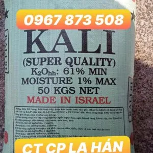 Sản phẩm kcl 1 300x300 — Công Ty Cổ Phần La Hán Hoàng Phát — MST 0108529582