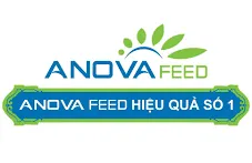 Sản phẩm anova — Băng Tải LALIMEX - Công Ty TNHH Kỹ Thuật LALIMEX — MST 0108530482