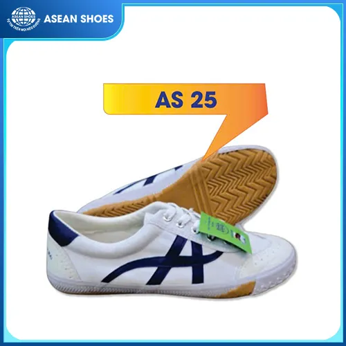 Sản phẩm giay the duc (9) — Giày Dép ASEAN SHOES - Công Ty CP ASEAN SHOES Việt Nam — MST 0108533155