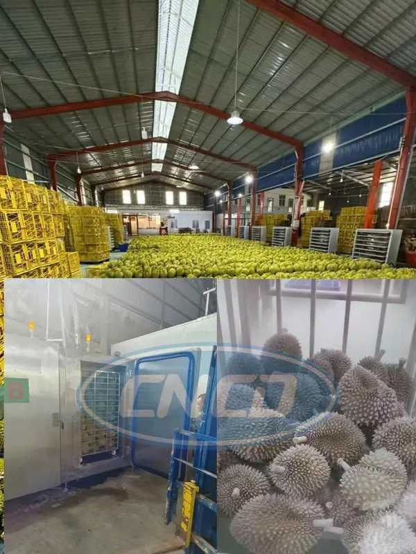 Sản phẩm sau rieng dong lanh — Công Ty TNHH Thiết Bị Khí CNCD Việt Nam — MST 0108542590