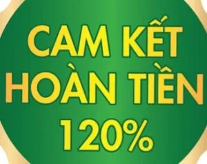 Sản phẩm 1000 300x238 — Công Ty TNHH Chuyển Nhà Thành Hưng Số 1 — MST 0108555889