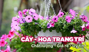 Sản phẩm 67 — Công Ty TNHH Kiến Trúc Cảnh Quan Ecogarden — MST 0108561875