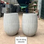 Sản phẩm z3529249811872_f43f47f93d3d0aee01a4dd7af36af234 e1662541916226 150x150 — Công Ty TNHH Kiến Trúc Cảnh Quan Ecogarden — MST 0108561875