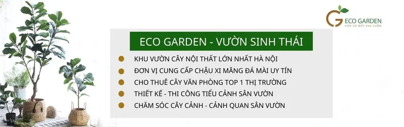 Sản phẩm ECOGARDEN 1 — Công Ty TNHH Kiến Trúc Cảnh Quan Ecogarden — MST 0108561875
