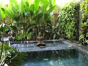 Sản phẩm z2451150568840_22a4087d258a541d1280466d7ee47ce2 300x225 — Công Ty TNHH Kiến Trúc Cảnh Quan Ecogarden — MST 0108561875