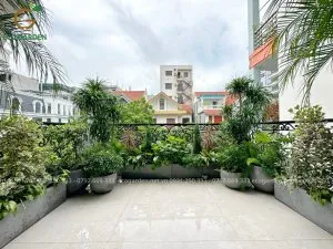 Sản phẩm z4808867915766_db683732fa6dfb5b8e0796095e1cccc2 300x225 — Công Ty TNHH Kiến Trúc Cảnh Quan Ecogarden — MST 0108561875