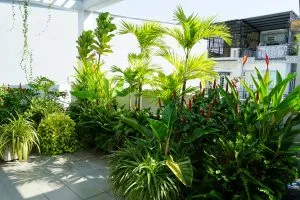 Sản phẩm z5296502839175_2f5b7105ab6666f05cfc54590b0a3447 300x200 — Công Ty TNHH Kiến Trúc Cảnh Quan Ecogarden — MST 0108561875