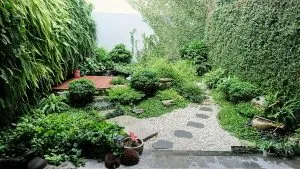 Sản phẩm z5296526786390_8e857176c70d75d3b811733379741b35 300x169 — Công Ty TNHH Kiến Trúc Cảnh Quan Ecogarden — MST 0108561875