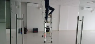 Sản phẩm cam hoang mai 3  — Công Ty TNHH Đầu Tư TM & DV Hoàng Việt — MST 0108561970