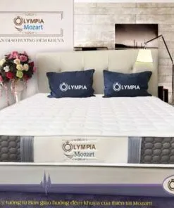 Sản phẩm dem lo xo Olymia Mozart 1 247x296 — Đệm Hồng - Công Ty TNHH Đầu Tư Và Sản Xuất Đệm Hồng — MST 0108588203