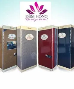 Sản phẩm dem bon mua Olympia 4 247x296 — Đệm Hồng - Công Ty TNHH Đầu Tư Và Sản Xuất Đệm Hồng — MST 0108588203
