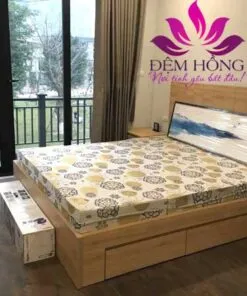 Sản phẩm dem than hoat tinh 247x296 — Đệm Hồng - Công Ty TNHH Đầu Tư Và Sản Xuất Đệm Hồng — MST 0108588203