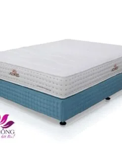 Sản phẩm nem lo xo acness Tuan Anh 247x296 — Đệm Hồng - Công Ty TNHH Đầu Tư Và Sản Xuất Đệm Hồng — MST 0108588203