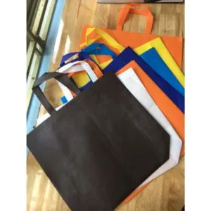 Sản phẩm túi vải không dệt 300x300 — Công Ty CP Nhựa Xanh — MST 0108610498