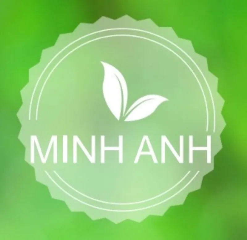 Logo Công Ty TNHH Phát Triển Thương Mại Minh Anh
