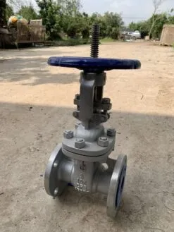 Sản phẩm van cong 12 247x329 — Công Ty TNHH Thương Mại Và Xuất Nhập Khẩu HT Việt Nam — MST 0108628671