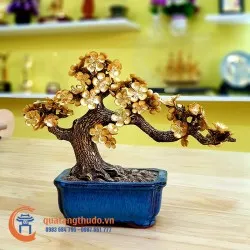 Sản phẩm 250_960_c__y_mai_v__ng__7_ — Quà Tặng Thủ Đô - Công Ty TNHH Đầu Tư Và Thương Mại Quà Tặng Thủ Đô — MST 0108630293