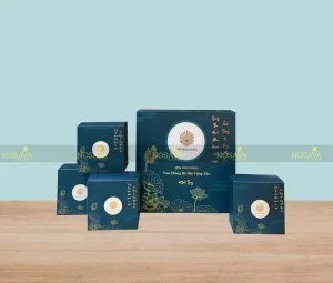 Sản phẩm 297645424_108171378663150_2389822435758957302_n 300x255 — Công Ty Cổ Phần Nosava — MST 0108649992